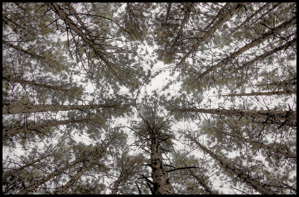 Striving Towards Heaven